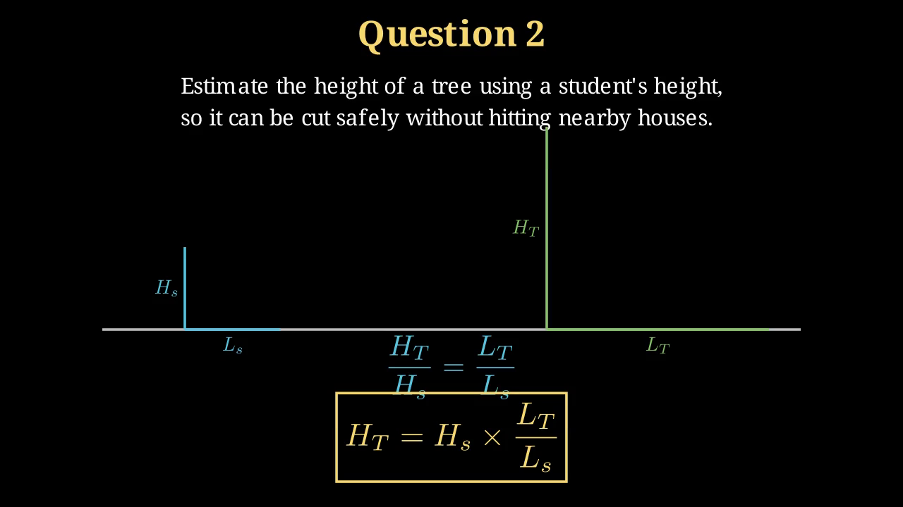 A short student and a tall tree in the same sunlight, each casting a shadow, forming two similar right-angled triangles with equal base angles.